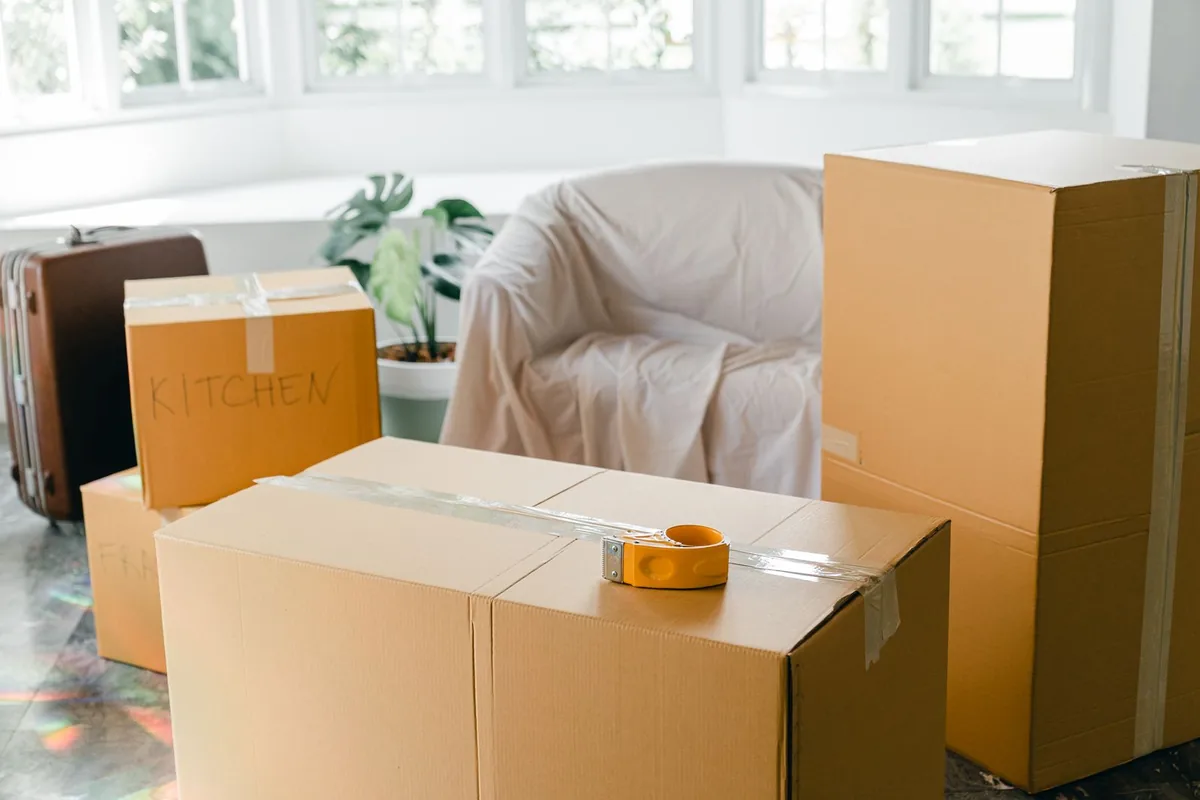 Hoarding Cleanup in Gatewood, Seattle, WA
